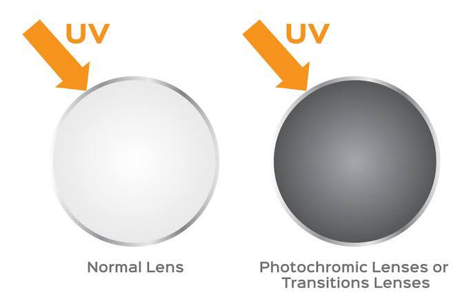 Seamless Rimless Home & Sun Readers